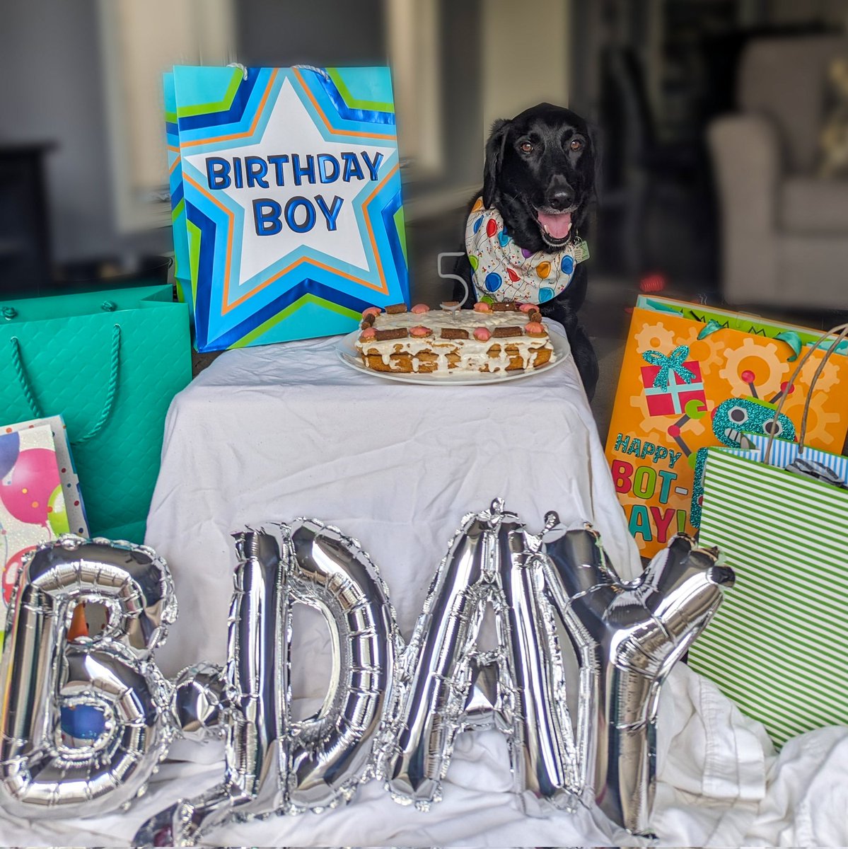 Sarah Pelaccia-Reaume tweet media