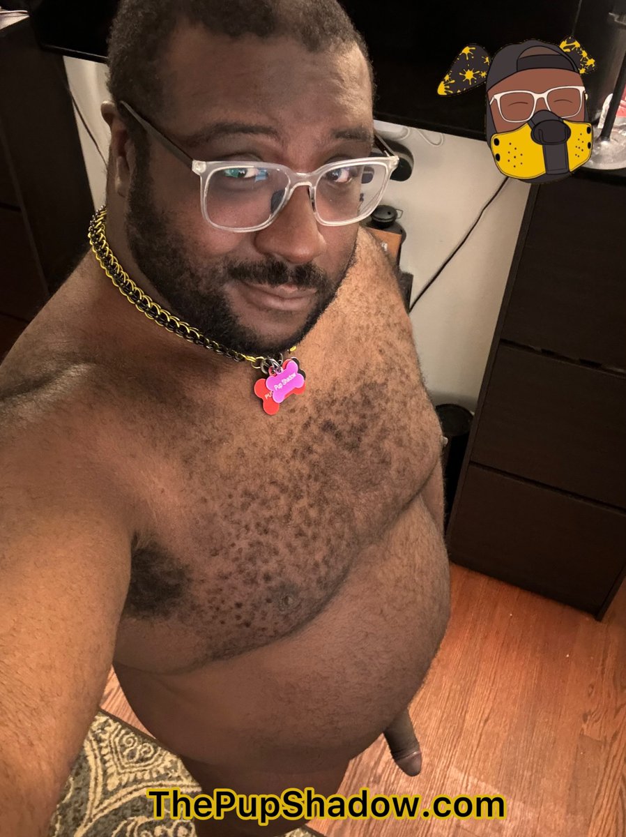 SirAndPupShadow's tweet photo. Stay Tuned! New Content Coming to https://t.co/HhJ4CmV0hG this weekend!! https://t.co/58ngnjvbk6