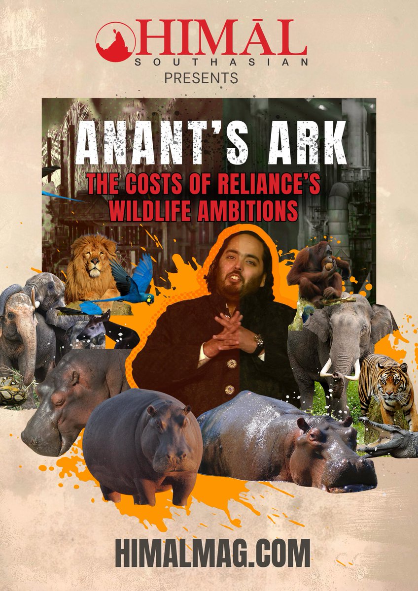 Are the cocaine hippos of Colombia coming to India? 📢 Part 2 of a saga as gripping as ‘Narcos’, releasing soon. Read part 1 of ‘The costs of Reliance’s wildlife ambitions’ here: himalmag.com/politics/relia…