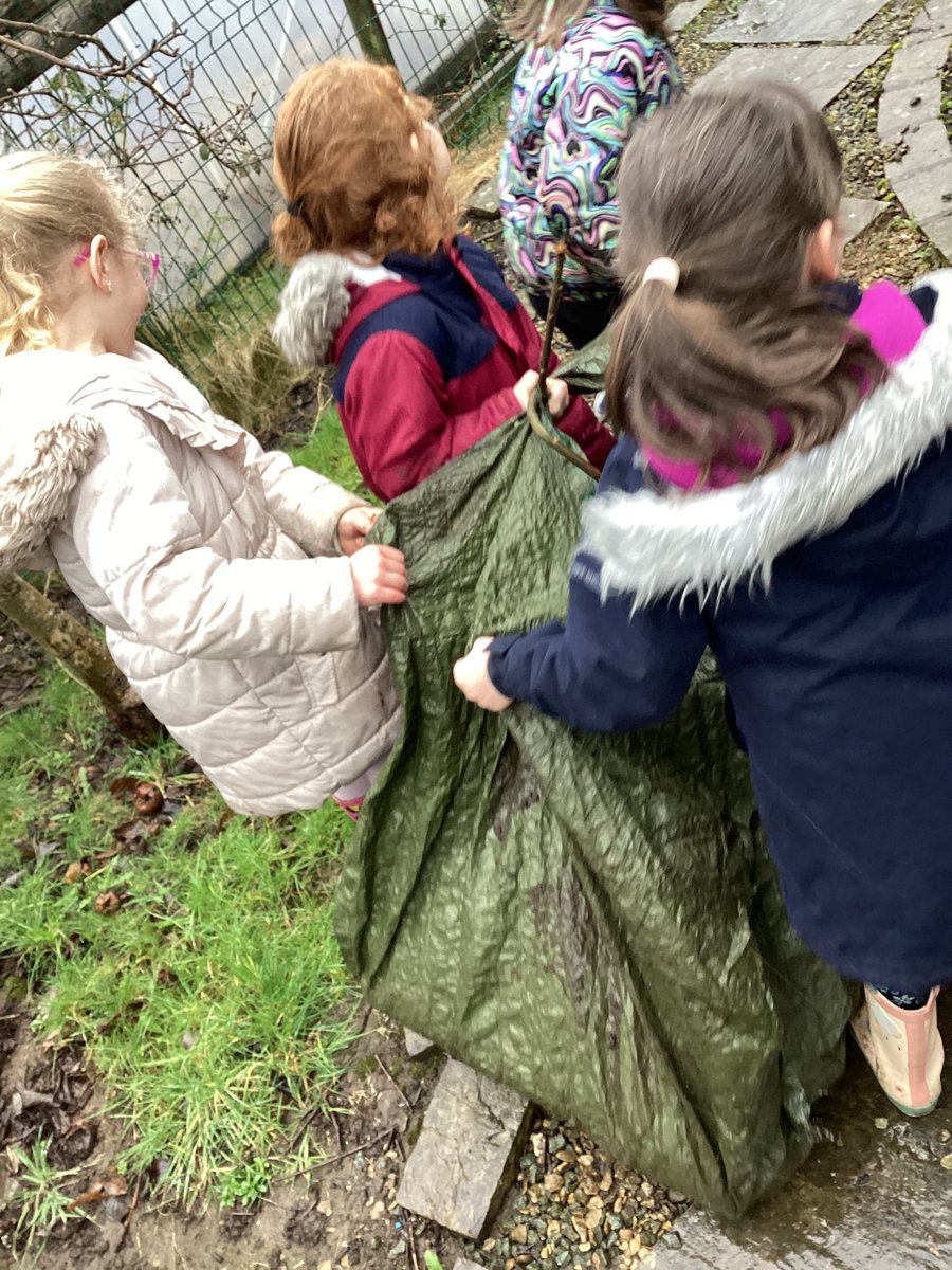 Reginald Mitchell Pr tweet media