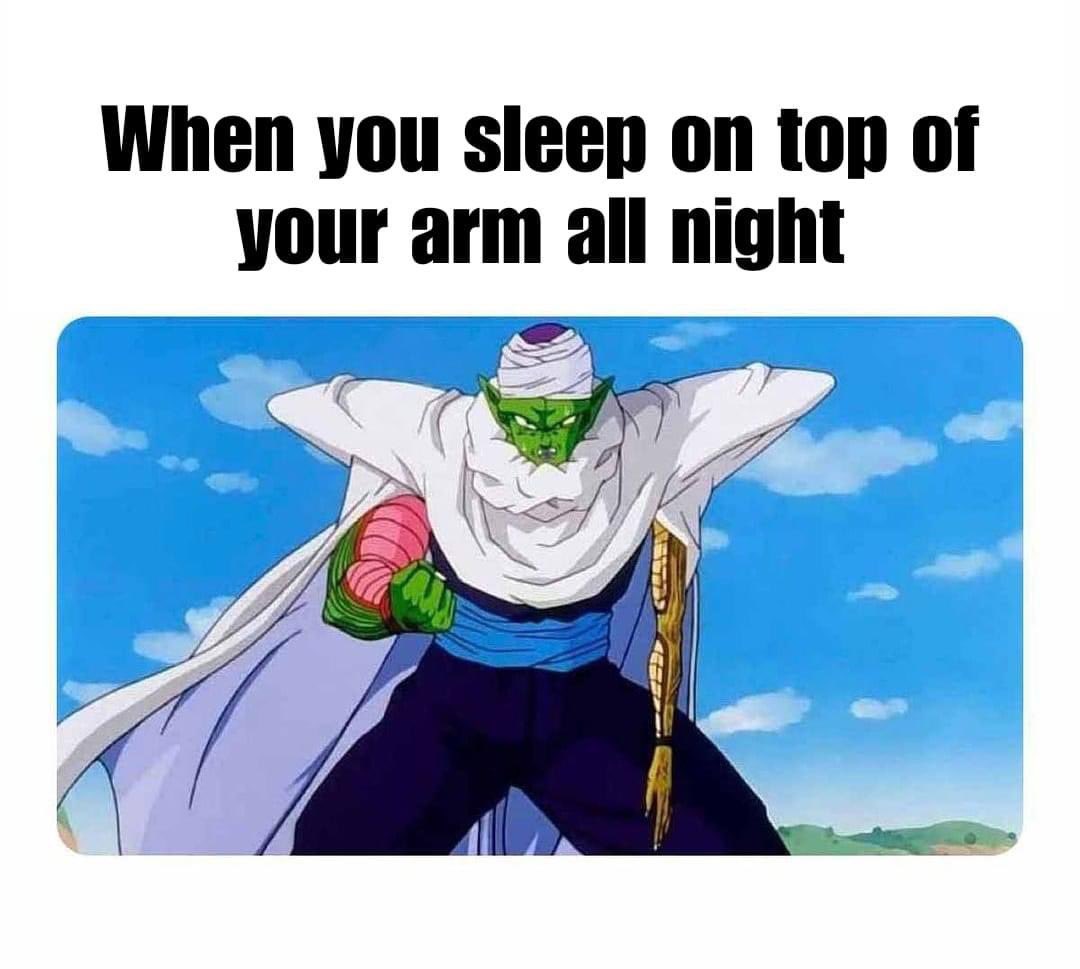 TheTrashEaters's tweet photo. #anime_irl #anime #meme #funny #DragonBallZ https://t.co/XfxM93kbL5