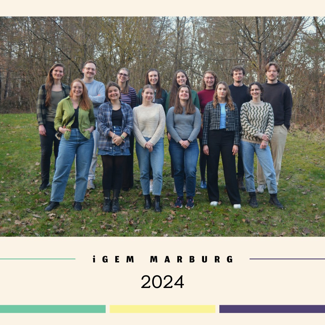 🔬 Meet Our iGEM Team! 🔬 Hey, #ScienceEnthusiasts! 👋 We are delighted to introduce you to our iGEM team who will be embarking on an exciting journey this year! 🚀🧬 #iGEM2024 #iGEMMarburg #SyntheticBiology #TeamIntro