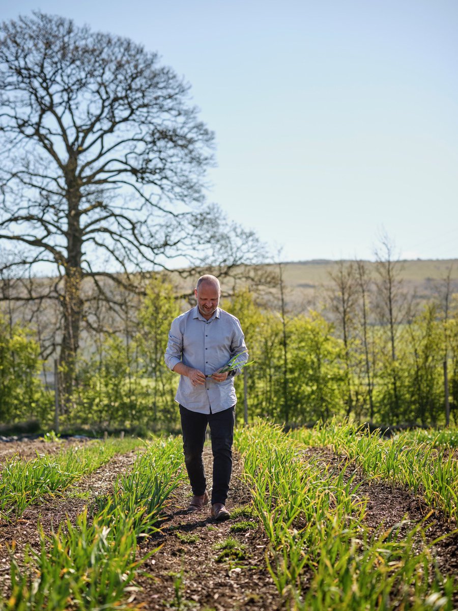 Today, we welcome the first official day of spring. It’s a time of bustling activity at Our Farm and of anticipation for the season to come. 🌱 #atourcore #sustainablegastronomy #simonrogan #greenmichelinstar #simonrogansourfarm