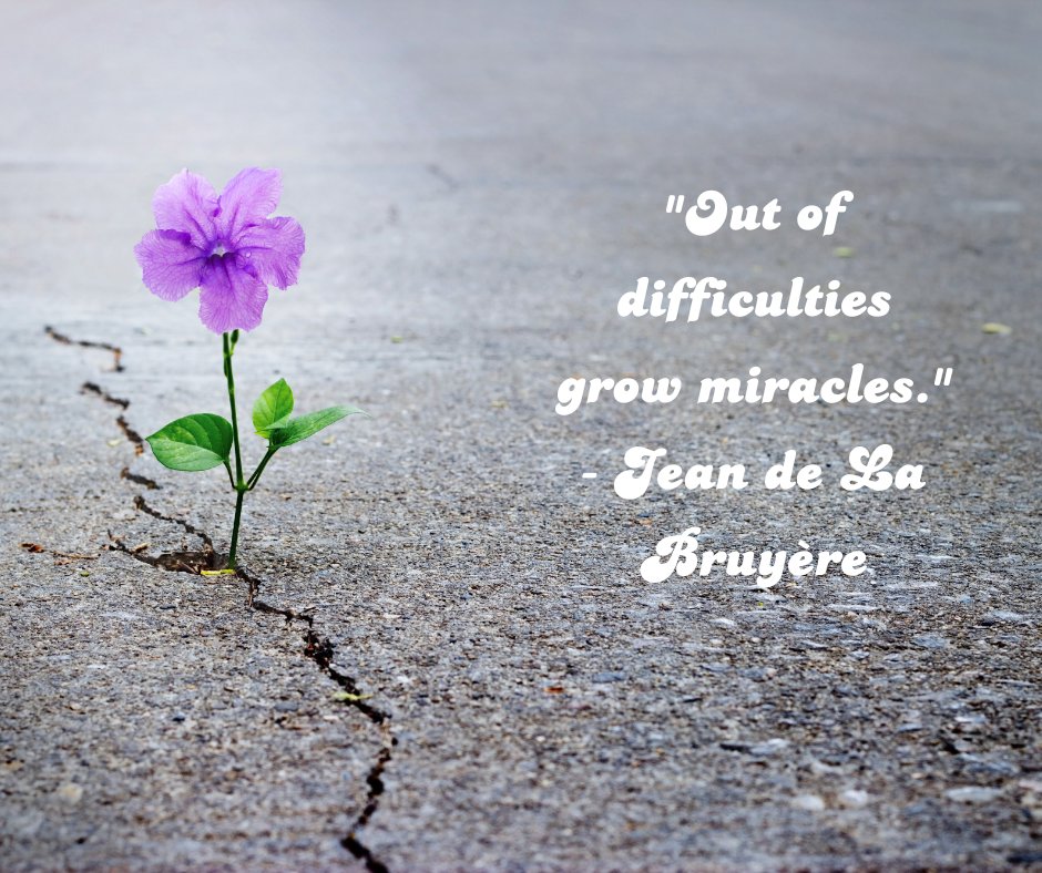 WSTreatment's tweet image. &quot;Out of difficulties grow miracles.&quot; -Jean de la Bruyere

#WSTC #SUDTreatment #FightAddiction #RecoveryIsPossible #RecoveryIsforEveryone