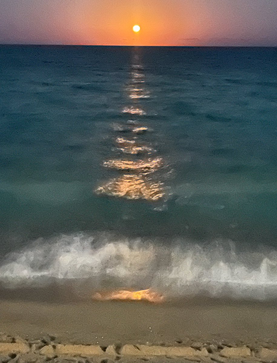 PalmBeachTattle's tweet photo. If you���ve never seen a moon-rise before, you definitely should 🌕🌙🌝 It won’t be easy to photograph, but it will live in your memory forever 🤍
.
.
#moonrise #atlanticocean #moonlight #Floridabeaches #beachdays #beachwalks #ilivewhereyouvacation #SouthPalmBeach #PalmBeach https://t.co/ypdV033p9o