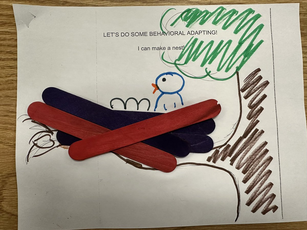 Behavioral adaptations in action! 

Today we were Birds, Beavers, and Spiders!