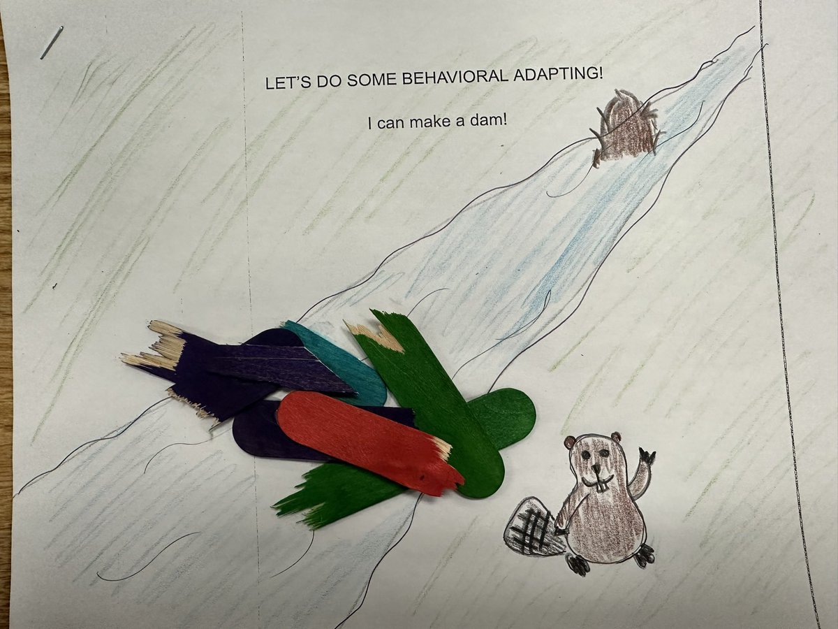 Gallinot_FLC's tweet photo. Behavioral adaptations in action! 

Today we were Birds, Beavers, and Spiders! https://t.co/BpVzgJpIOz