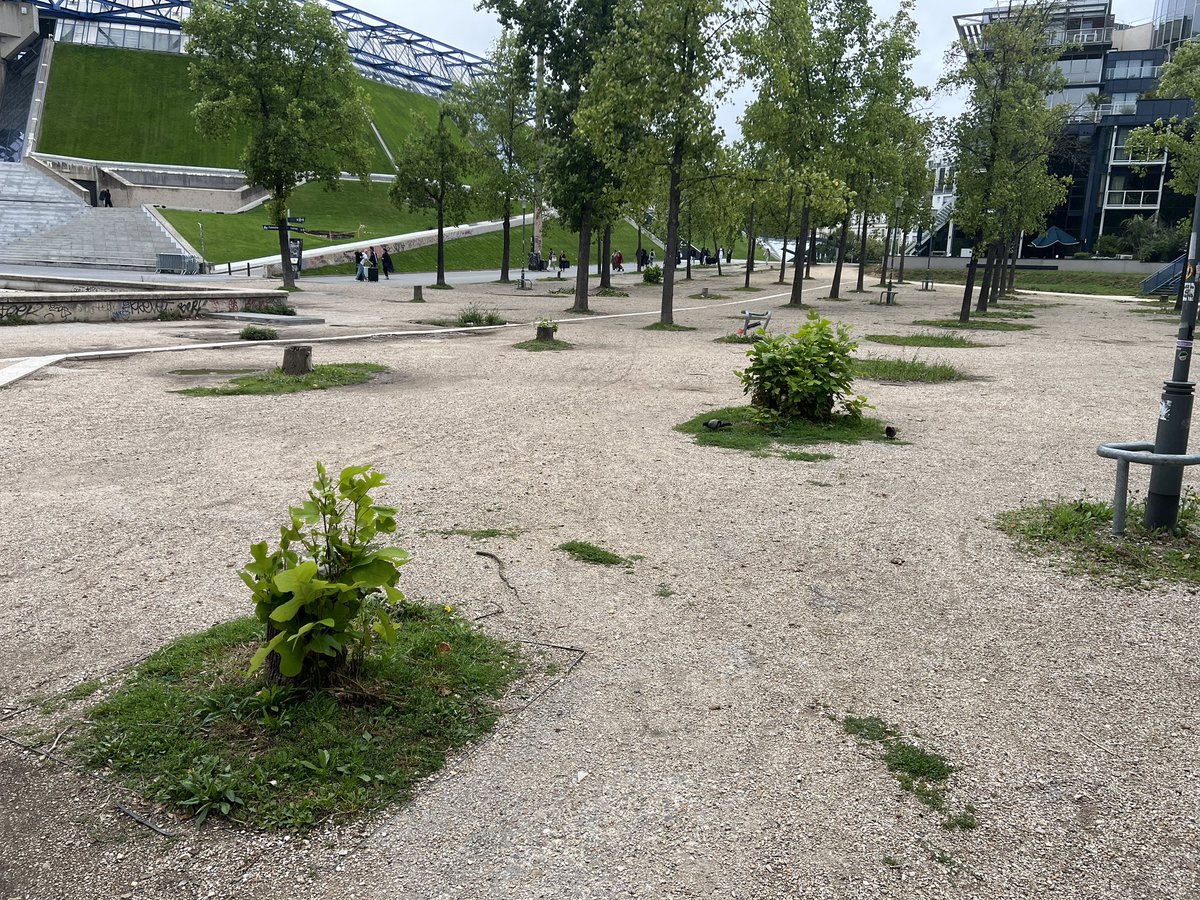 TanguiLeDantec's tweet photo. Décennie fatidique qui aura eu un prix terrible pour nos arbres parisiens.
10 ans de combats acharnés, de Vincennes au Champ de Mars, à tenter de sauver tout ce qu'on aura pu des projets de transformation déments soutenus par notre exécutif municipal. https://t.co/t0Ttp4KySw