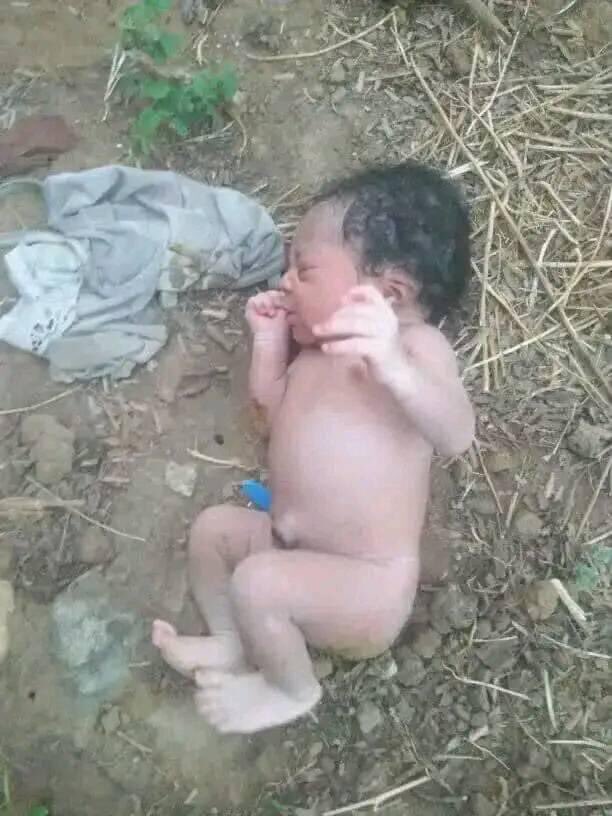 CatiaKyen's tweet photo. An unknown lady dumped her newly born baby around Federal Low cost Jos.

The baby was  found in the wildlife Park bush just by the road that leads to Tudun wada.

Thank God the baby is still alive and in good health.🙏🏽

🥺💔 https://t.co/CkFQxSwZB3