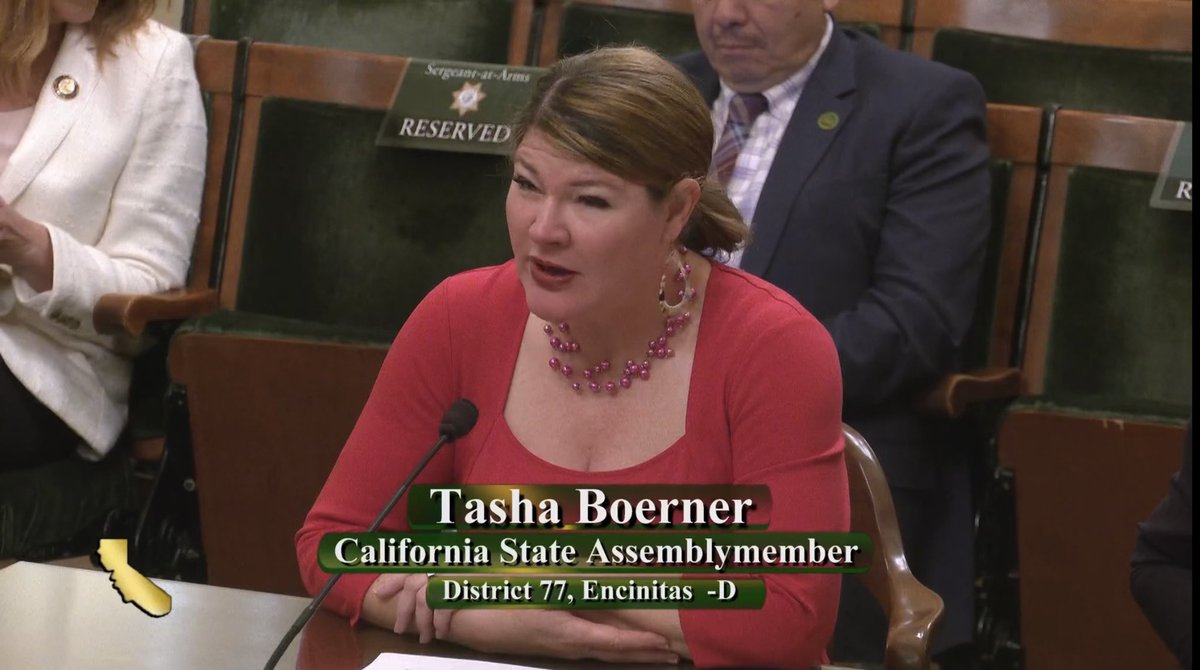 My bill, #AB2007 on Unicorn Homes, has passed the Assembly Housing Committee. We are one step closer to providing housing & resources for our unhoused #LGBTQ youth. 🌈🦄