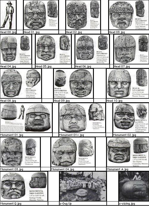 Cuauhtemoc_1521's tweet photo. Estas son las 17 cabezas olmecas que han sido descubiertas hasta la fecha. 10 procedentes de San Lorenzo, 4 de La Venta, 2 de Tres Zapotes y finalmente una procedente de Cobata, la más grande. La más pequeña pesa 6 toneladas y la más grande 50 toneladas!!! Muy posiblemente se trata de representaciones de los rostros de los gobernantes olmecas de estas ciudades mencionadas. Y tú cuántas cabezas olmecas has visto? En la #CDMX solamente hay dos