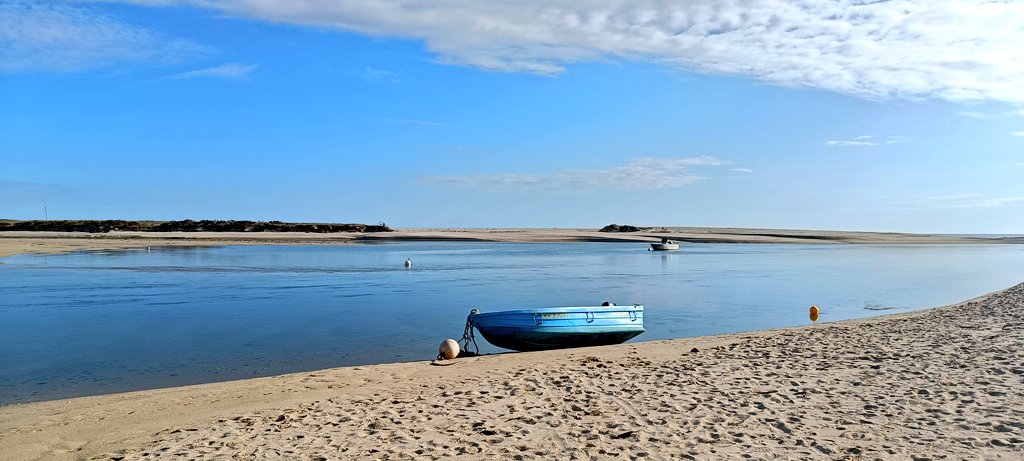 Seonaid Webb MBE tweet media