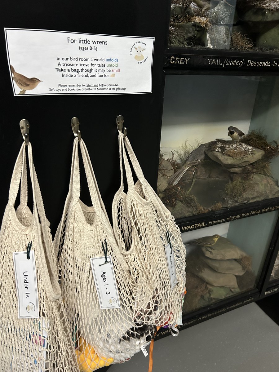 Be inspired by @TolsonMuseum famous Bird Room with our new family activities! Learn to tell your Climbers from your Waders, go Bird Watching with our under 5's Story Bags and discover which of our feathered friends are facing extinction, and what you can do to help save them!