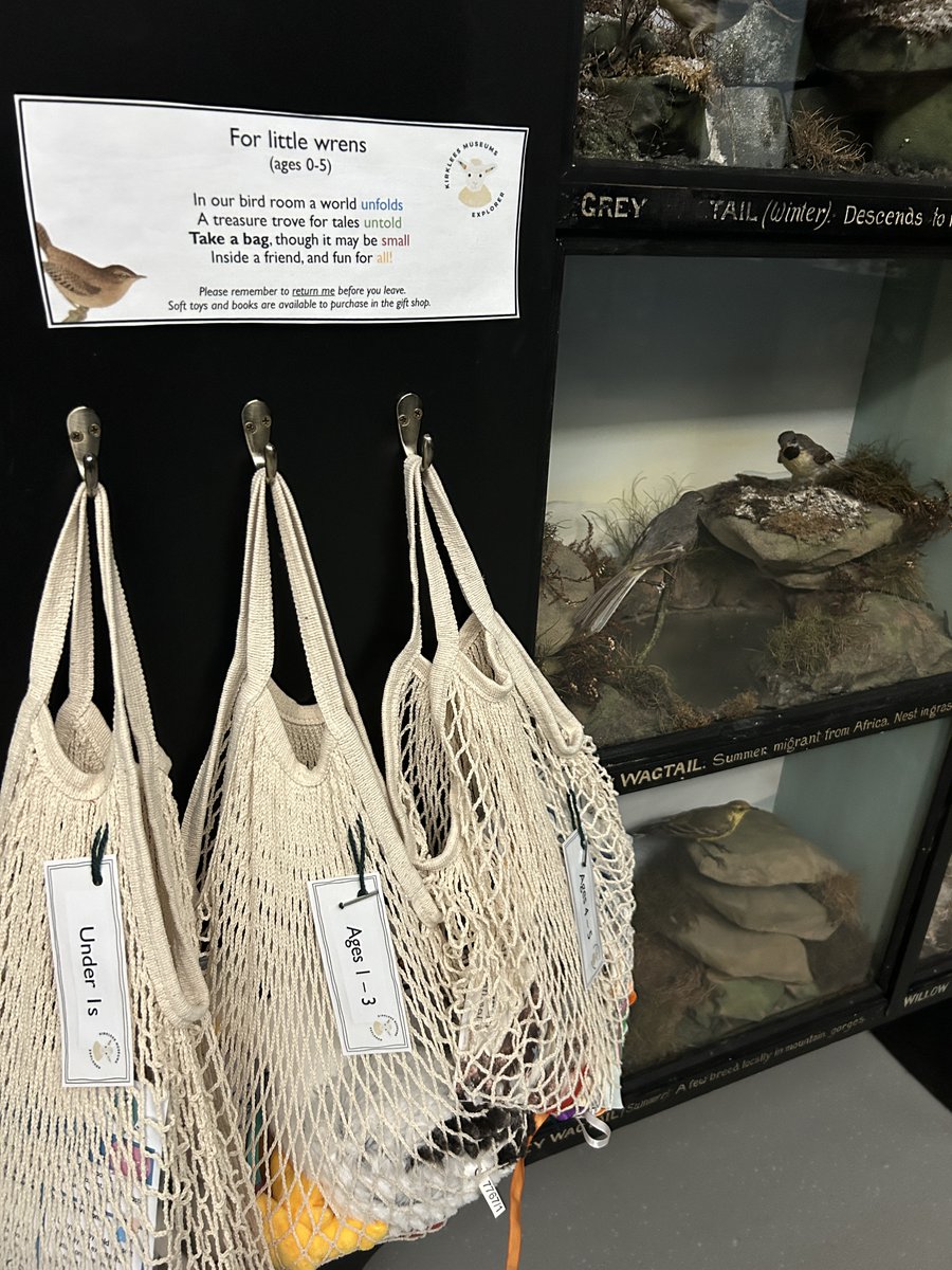 Kirklees Museums (@kirkleesmuseums) on Twitter photo Be inspired by <a href="/TolsonMuseum/">Tolson Museum</a> famous Bird Room with our new family activities!
Learn to tell your Climbers from your Waders, go Bird Watching with our under 5's Story Bags and discover which of our feathered friends are facing extinction, and what you can do to help save them! Be inspired by <a href="/TolsonMuseum/">Tolson Museum</a> famous Bird Room with our new family activities!
Learn to tell your Climbers from your Waders, go Bird Watching with our under 5's Story Bags and discover which of our feathered friends are facing extinction, and what you can do to help save them!