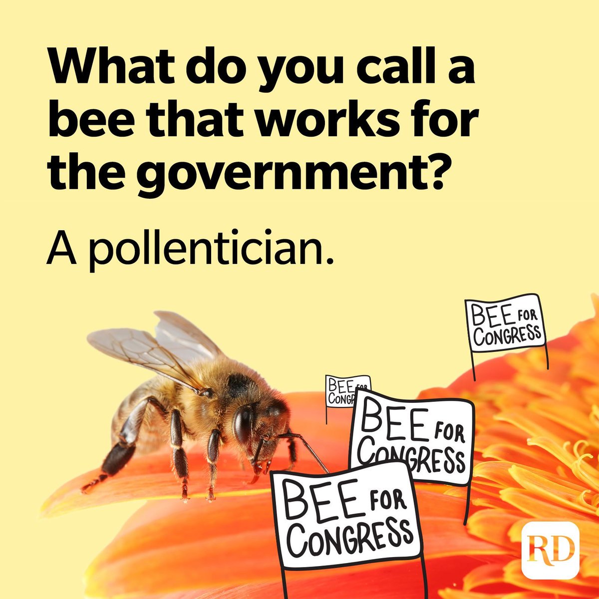 Please retweet if you think there should be a worldwide ban on harmful pesticides. 😡 ‼ Sign & Share and ...PLEASE tell me when done, commenting 'Signed', 'S&S', Signed & Shared' ... 👉 change.org/SaveTheBee 🆘💯🐝