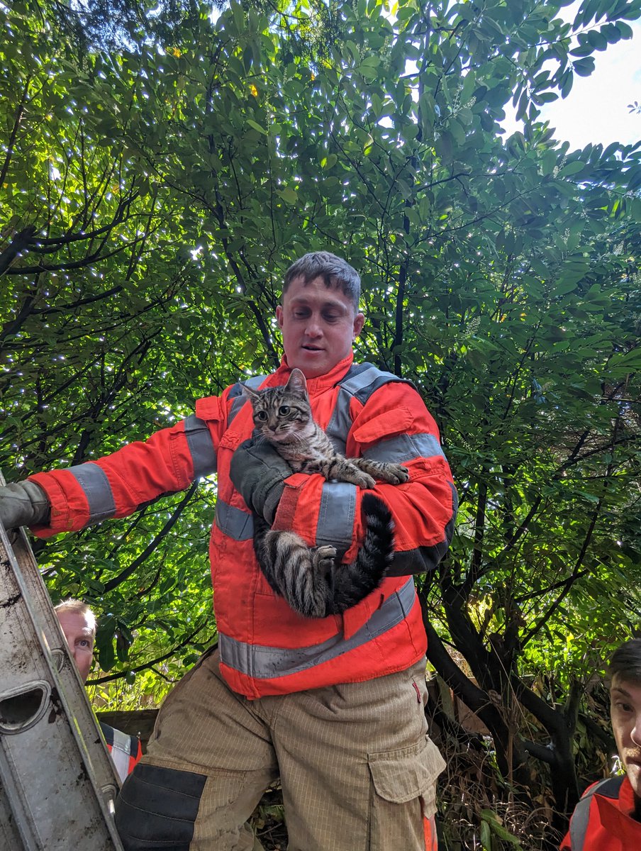 ARO Jess had a nice rescue today in #manchester, poor Tickles a 7month old kitten had been stuck in a tree for 3 days.@manchesterfire were brilliant as always, attended quickly &helped encourage Tickles down before meeting her halfway & returned her to a very happy owner! 🐱 (72)