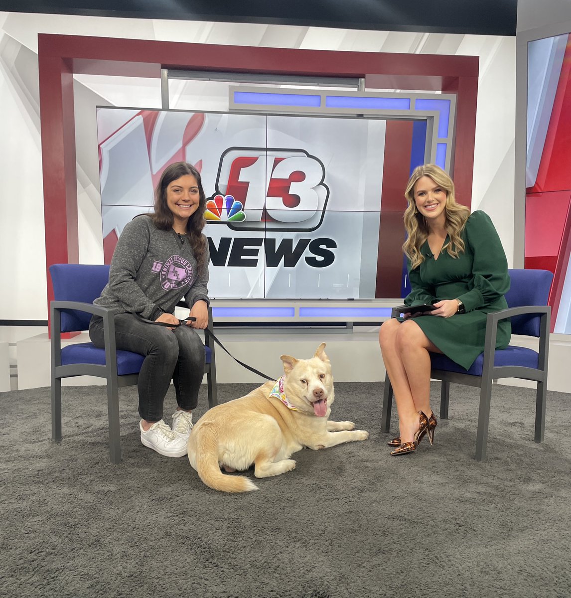 So fun having Sam Despotovich with @ARLIowa and sweet Captain on the news at noon today! We talked about their upcoming eggstravaganza Easter egg hunt happening this Saturday. 🐶🥚 The full interview will be on our website with details on how to sign up your pup! @WHO13news