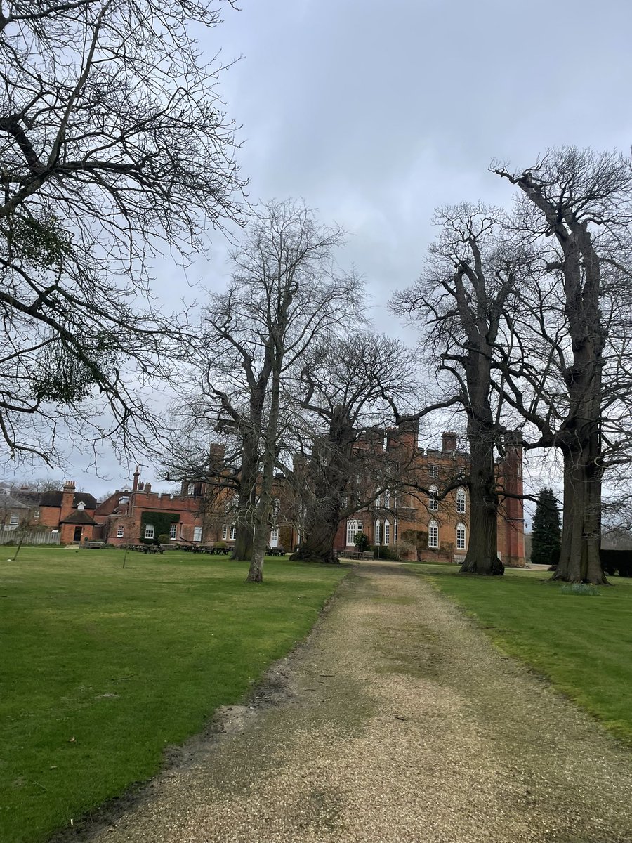 Elena Musi tweet media