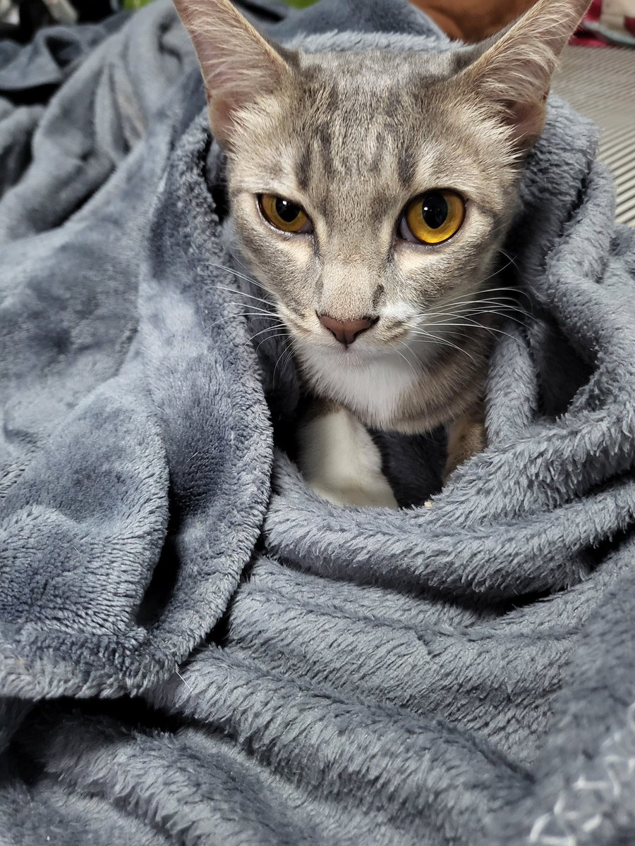 1ขวบกันเเล้ววว