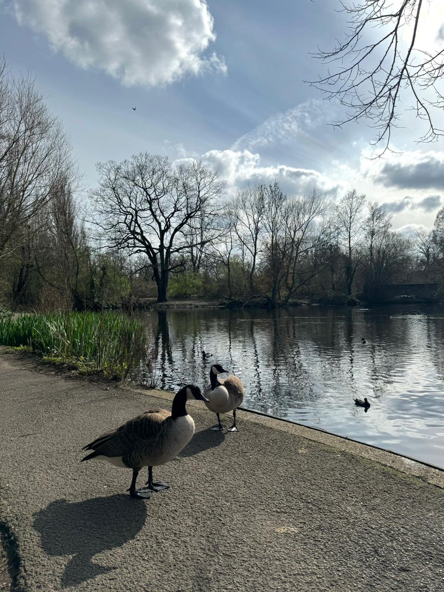 If you're heading to #Wandsworth or Tooting Common this weekend, please be aware that it is now 'Bird Nesting Season'. To avoid disturbing birds during the nesting season and whilst they have their young, please keep dogs on a lead when near the ponds. #TootingCommon #Balham