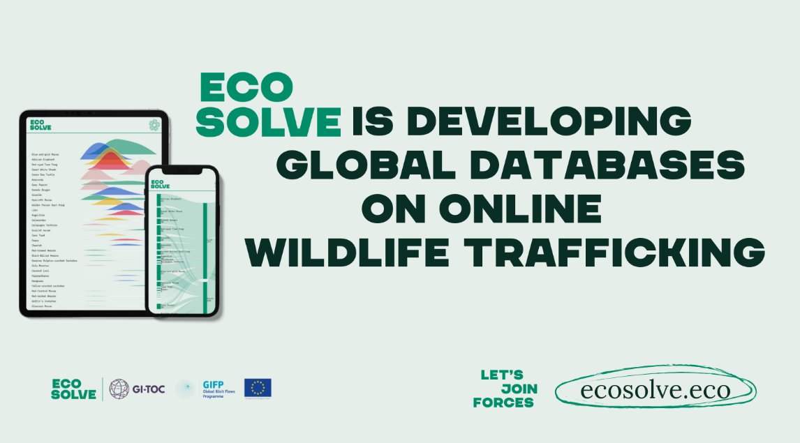 We are excited to announce the launch of Eco-Solve, a groundbreaking initiative within the European Union's Global Illicit Flows Programme, aimed at combatting illicit online environmental trade. Find out more @ t.ly/dt9FH #EUForeignPolicy in action #EcoSolve