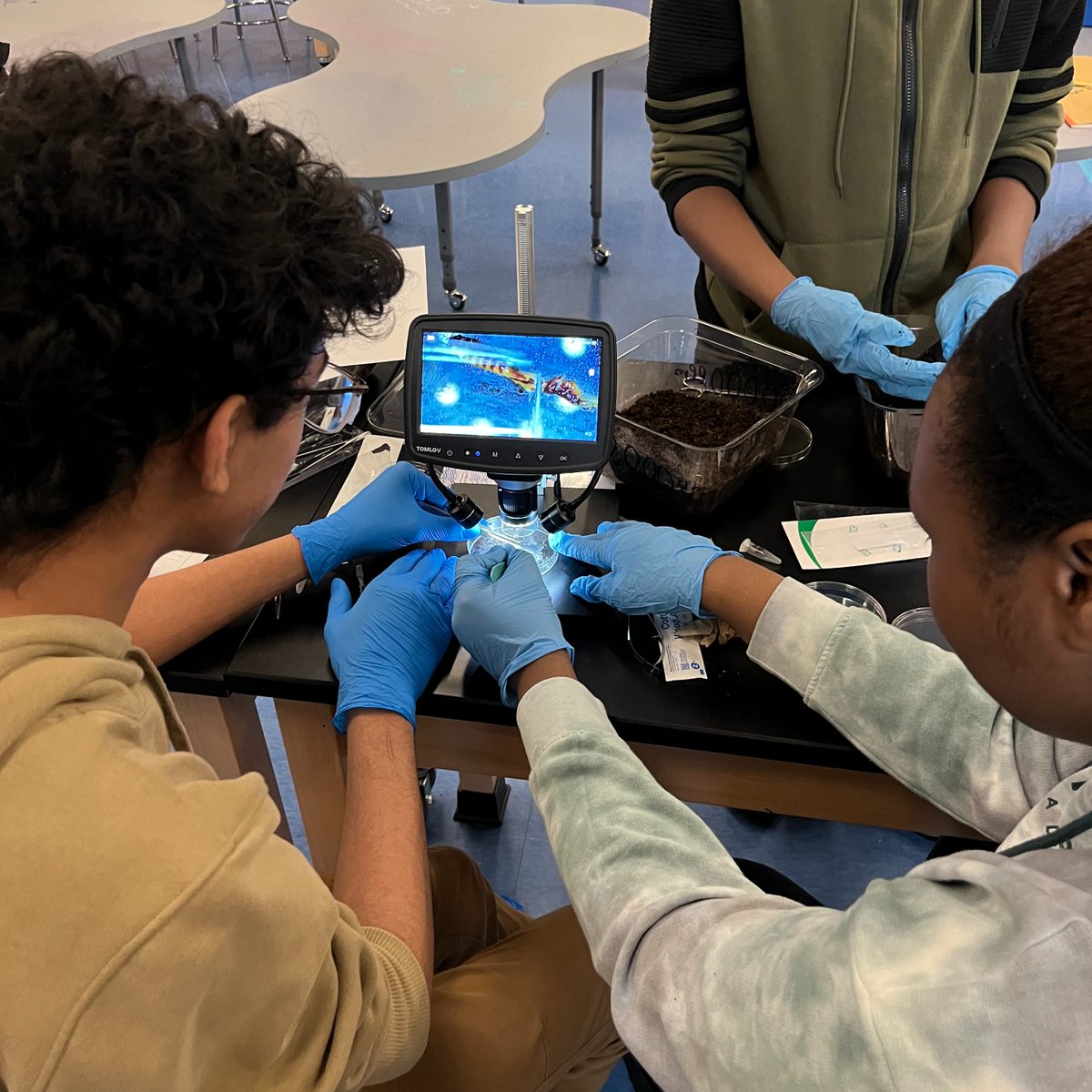 Today was Garrett Morgan Wednesday! Here's a shot of students dissecting an earthworm in our 'Caffeine Critters' group! These students are interesting in learning more about the effect of caffeine on behavior and the brain.
