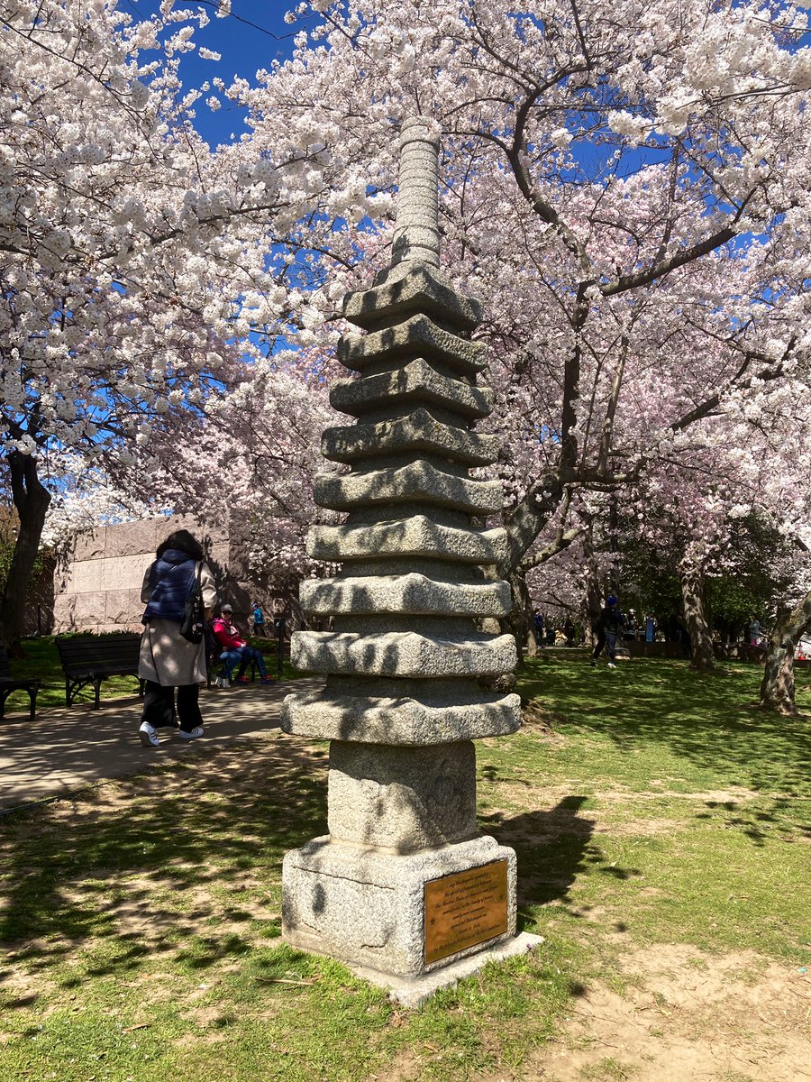 Had the morning off on my <a href="/CVWEventProd/">CVW Event Productions</a> freelance gig
In DC, so I wandered around the Tidal Basin this morning and checked out the cherry blossoms!