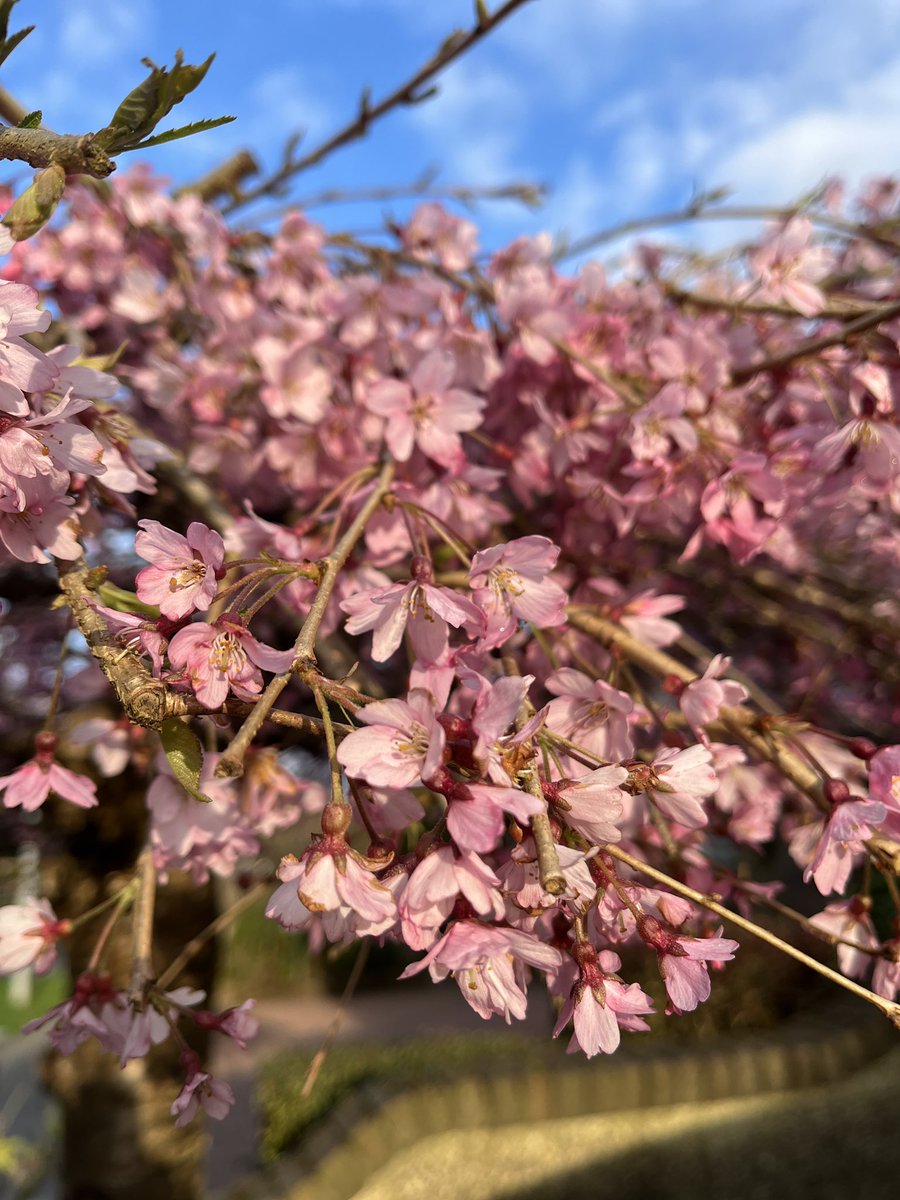 Therese Eagers tweet media