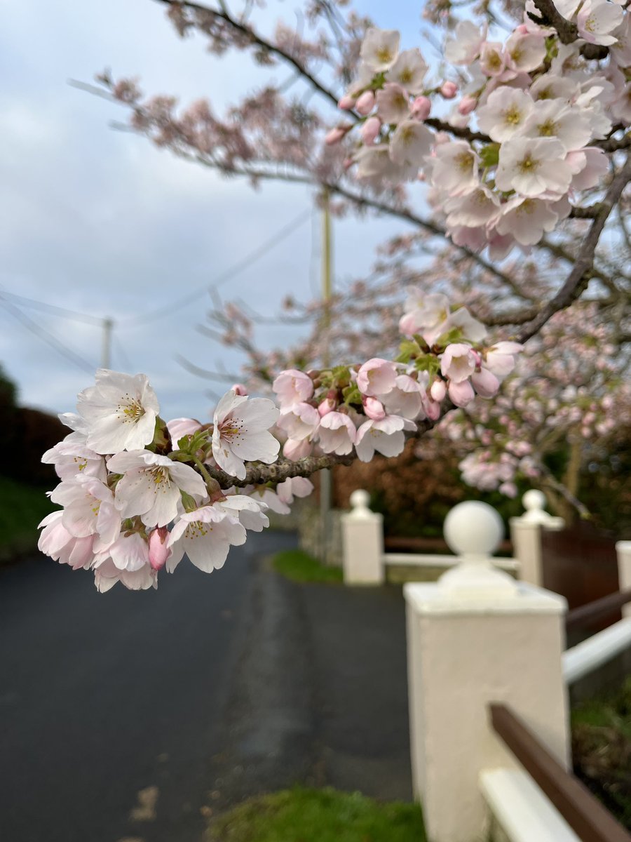 Therese Eagers tweet media