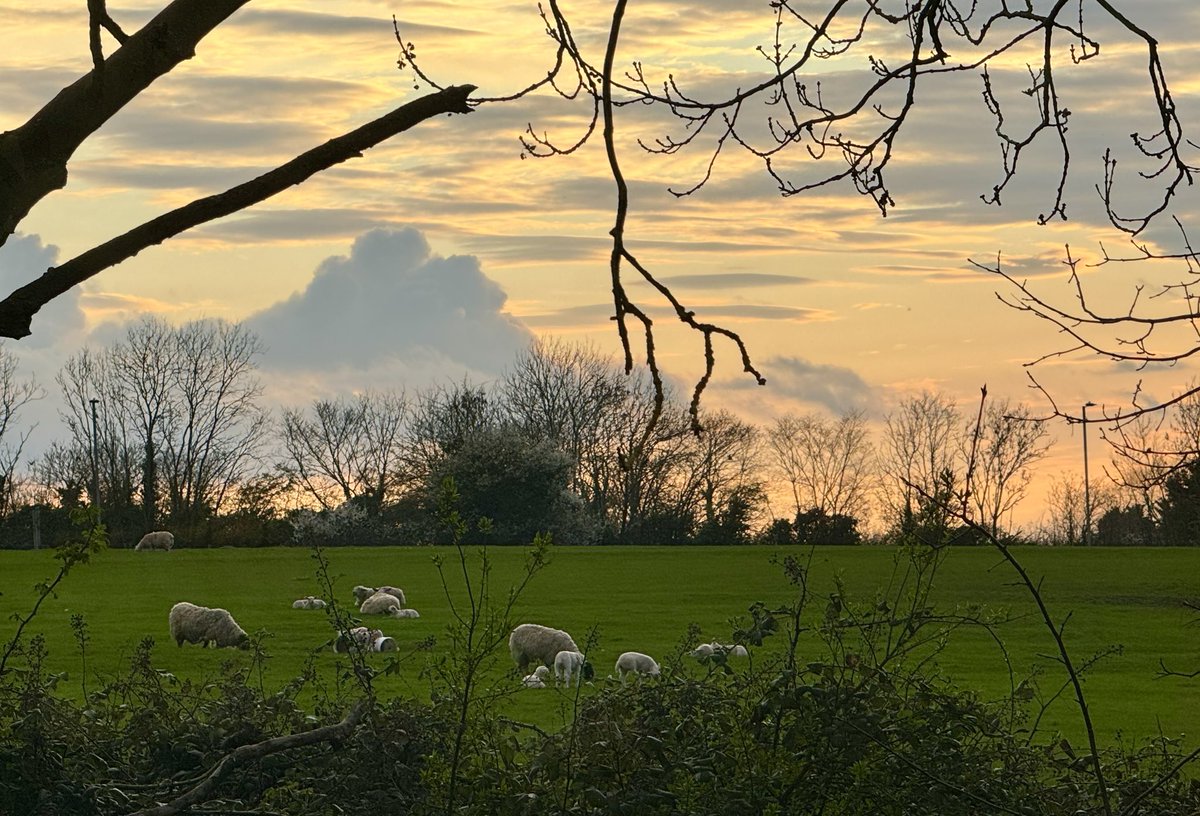 Have a good evening 🤗 #StormHour #ThePhotoHour #Bedford #SunsetViews #evening #SpringEquinox #View #NatureBeautiful