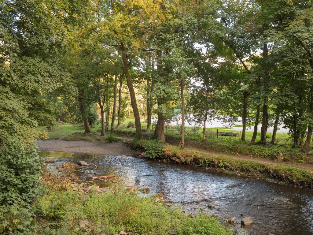 Make plans in Mid Wales. With #Easter just around the corner, we've put together a round-up of events in Mid Wales to put a spring in your step. 🔗 l8r.it/iZtS 📸 Llanerchaeron Woodlands, National Trust. Captured by James Dobson. #EasterHolidays #VisitMidWales