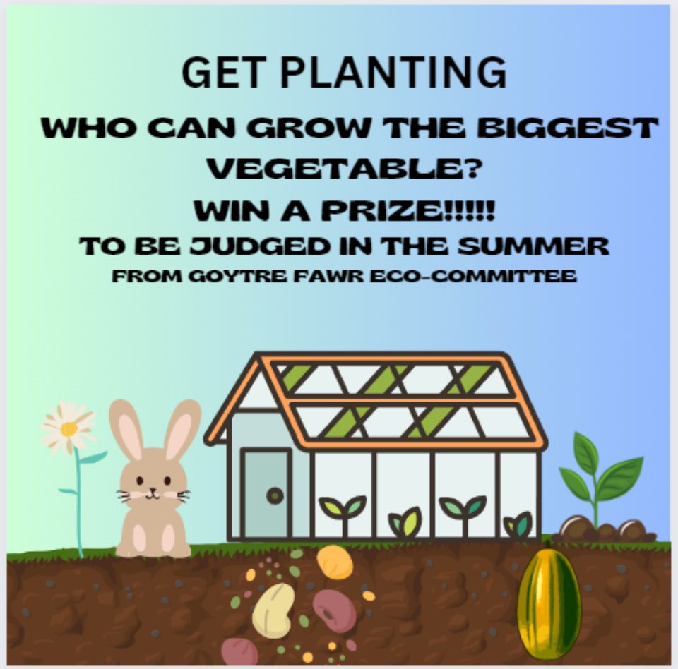 The Eco-Committee are pleased to announce our Big Summer Competition! Open to all friends, family and surrounding neighbours of @GoytreFawr 
Get planting any vegetables and spread the word. 🌱 More details soon. <a href="/EcoSchoolsWales/">Eco-Schools Wales</a>