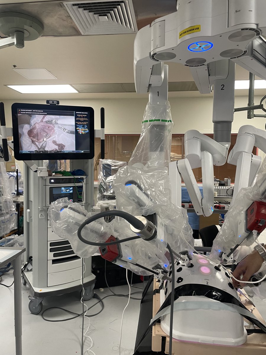 🤖 Dr. Sherry Wren led a robotic porcine stomach lab for our PGY4s! They practiced palpating a mass, sewing, and resecting. Shoutout to SurgEd Fellow @connieygan1 and @IntutitiveSurg who made the lab possible!