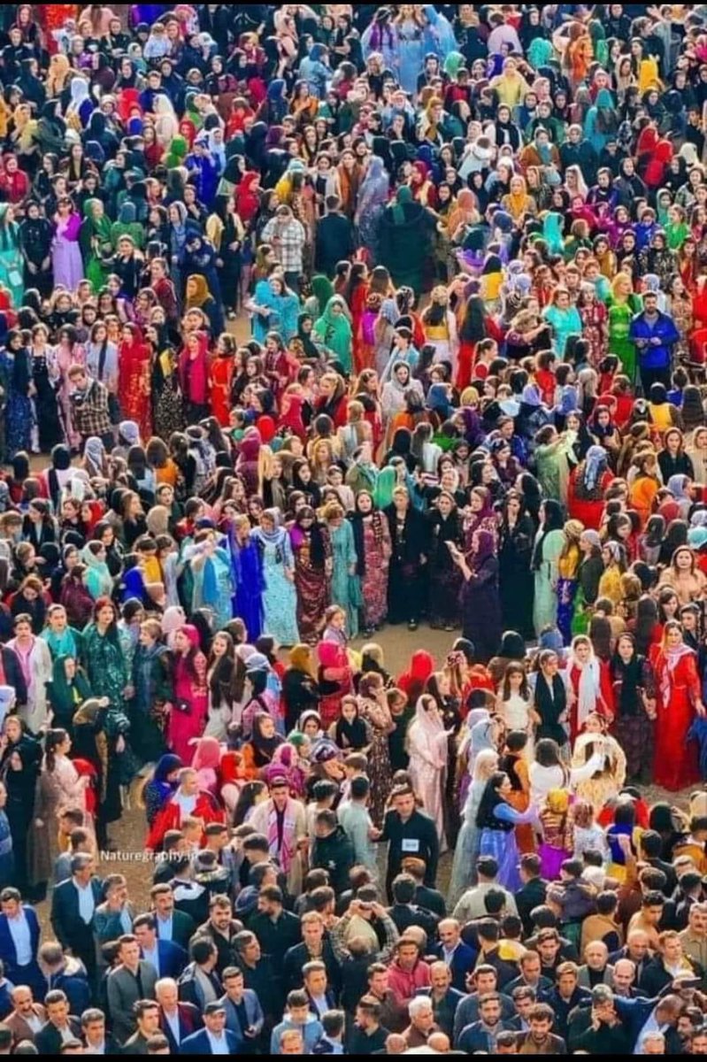AlanFotoohi's tweet photo. نەورۆزی کوردەواری و ساڵی 2724ی کوردی پیرۆز بێت.
Happy Newroz &amp; Kurdish 2724 New Year https://t.co/mFJR7mFEii