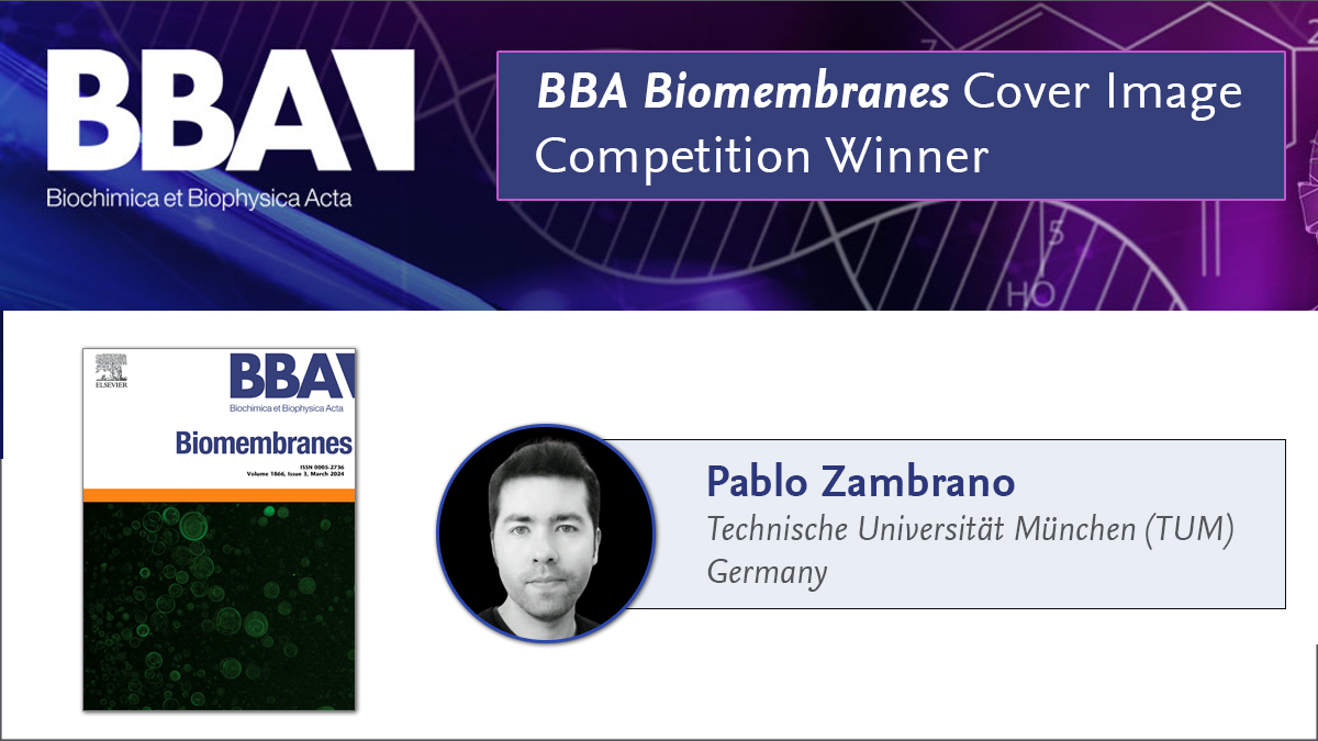 Congratulations to BBA Cover Image Competition winner Pablo Zambrano (@PablZambrano) whose winning image is displayed on the journal cover of BBA Biomembranes. Send in your own entry for the 2025 BBA Cover Image Competition > spkl.io/60104LQdo