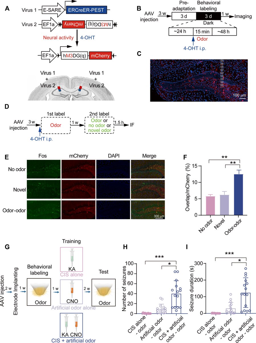 BryanRoth tweet media