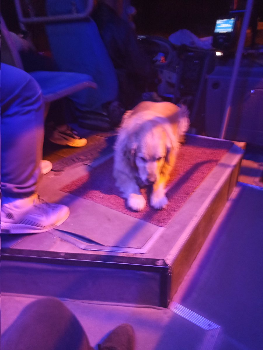 Hadeng-i Hünriz tweet media