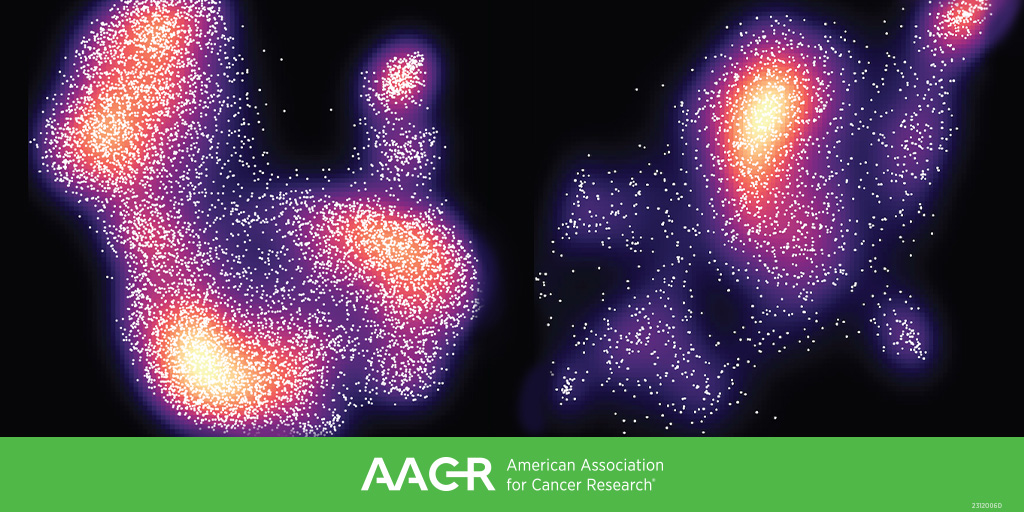 Submit an abstract by April 1 for the Fourth AACR International Meeting on Advances in Malignant Lymphoma (June 19-22, Philadelphia), chaired by Michael R. Green and organized in association with @BCD_AACR. Learn more: bit.ly/43pICdk #AACRlymph24 @GreenLymphoLab