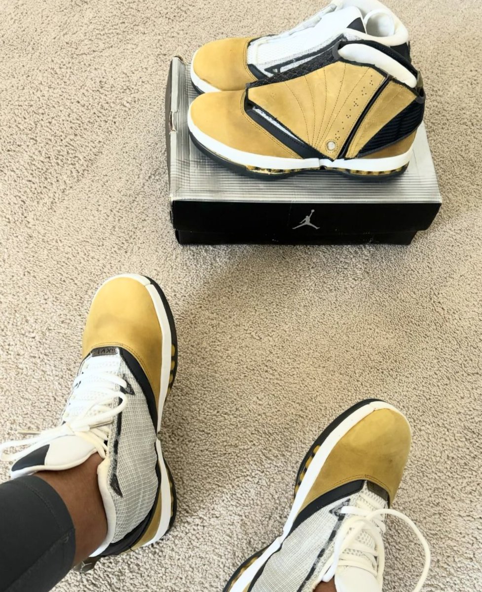 yellow jordan 16