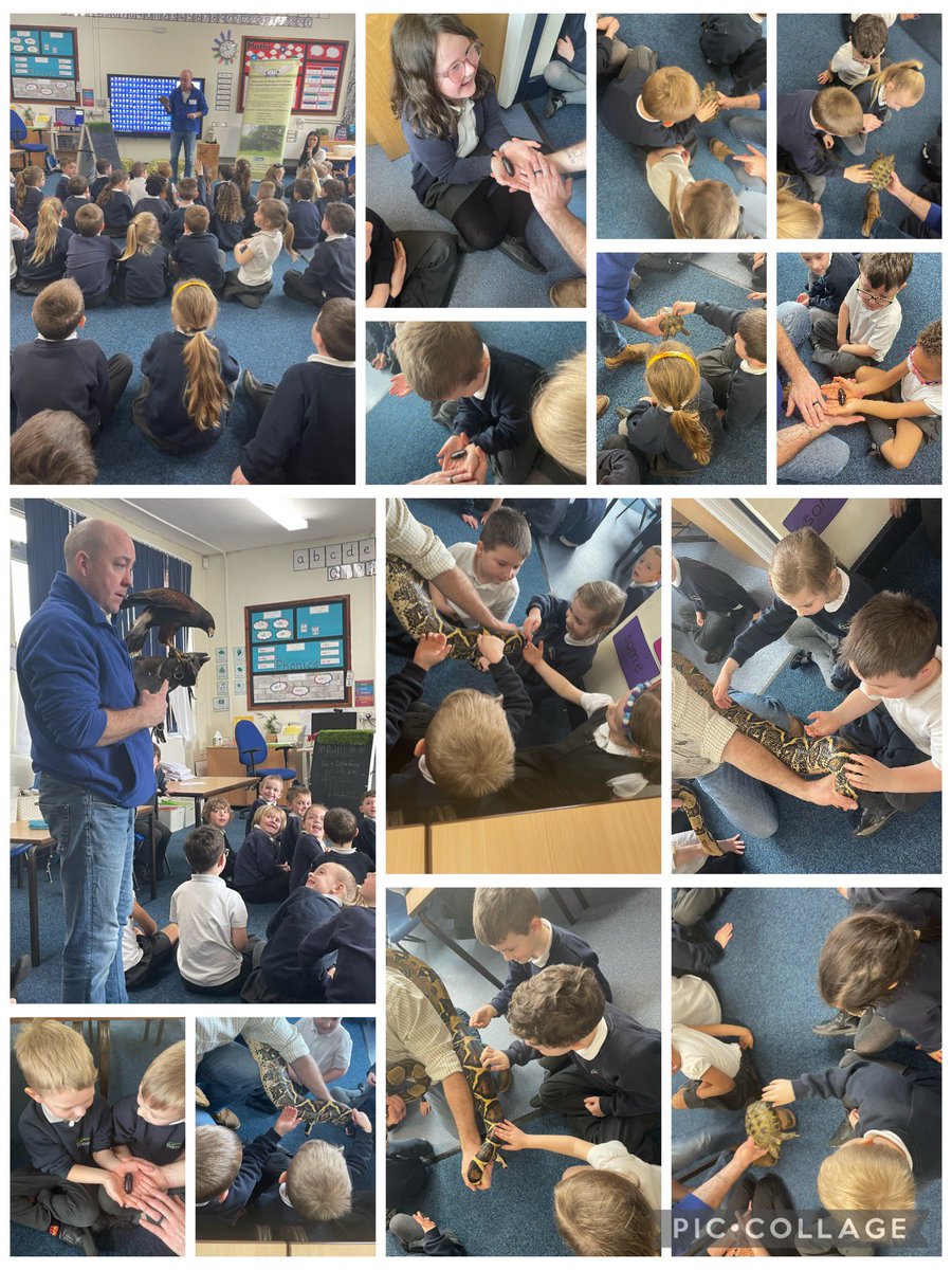 Year One had an exciting morning! Simon showed us a snake, cockroach, tortoise, and a hawk. We showed off what we have learned about different groups of animals and asked lots of interesting questions! @BarntonMissR