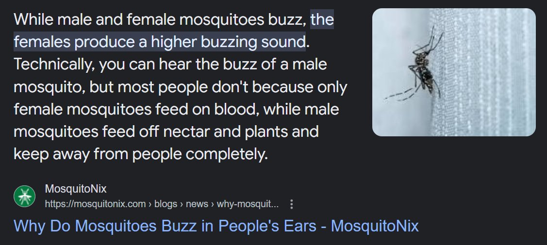'Female Mosquito Vampires'... coming soon to a dark bedroom near you. #NorthwesternOntario #Summer