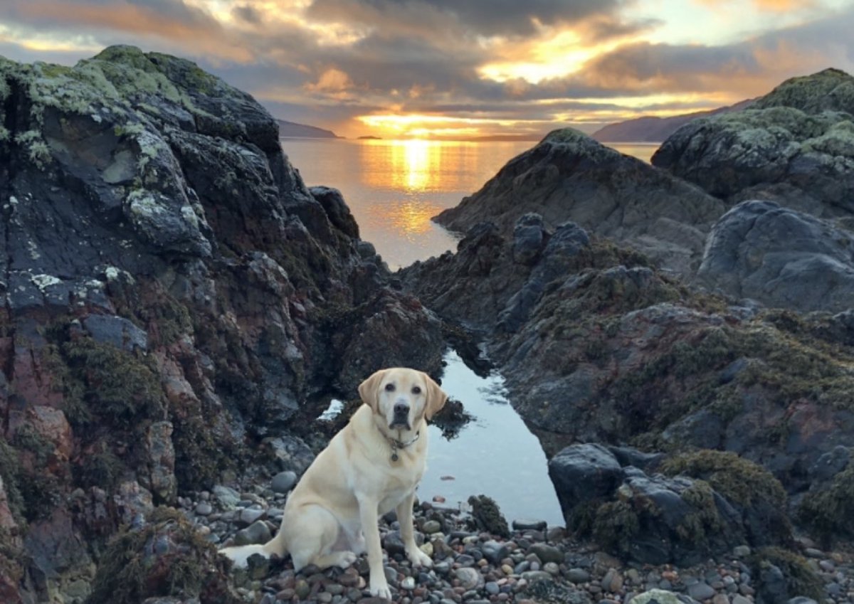 Nicky Campbell tweet media