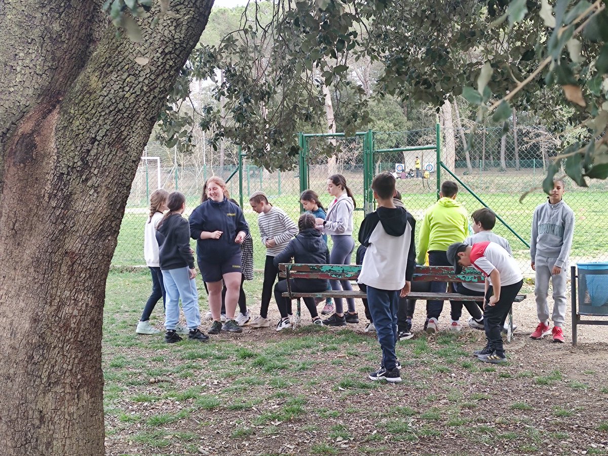 Jose Mestre Pereira tweet media