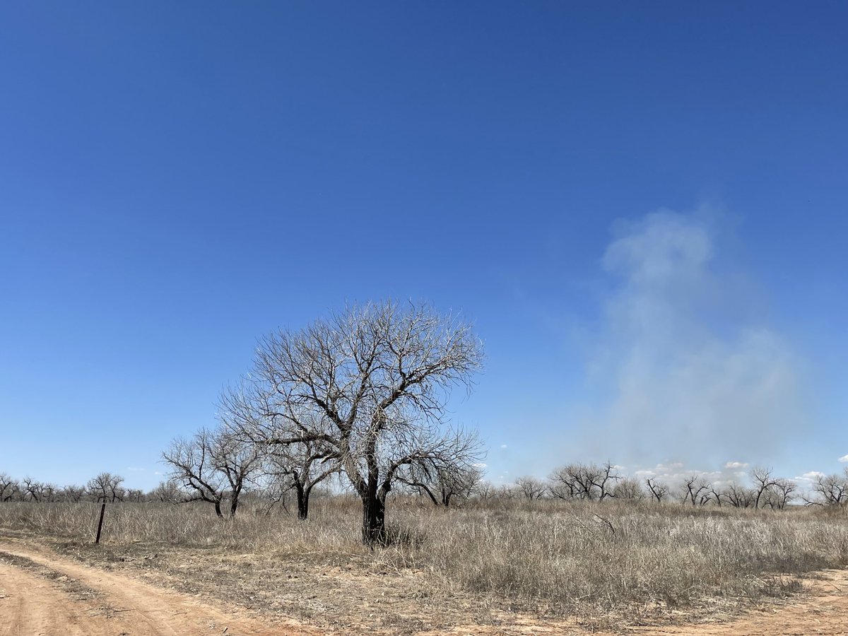#CimarronRD begins ignition operations on MJ Patch RX, located 5 miles northwest of Rolla, Kansas. Smoke may be visible from Richfield, Elkhart, Rolla & surrounding communities. #CimarronRX