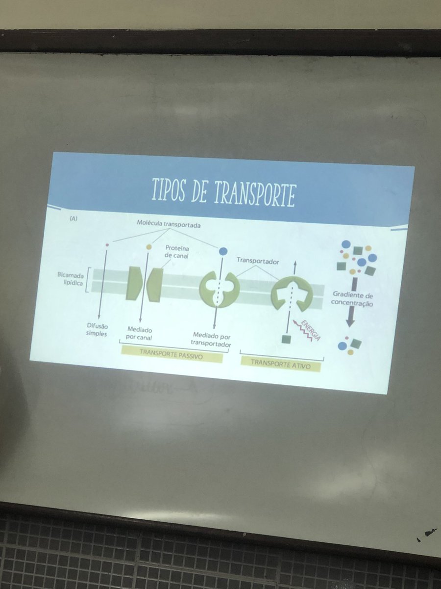 2005studies's tweet image. no fim deu tudo certo