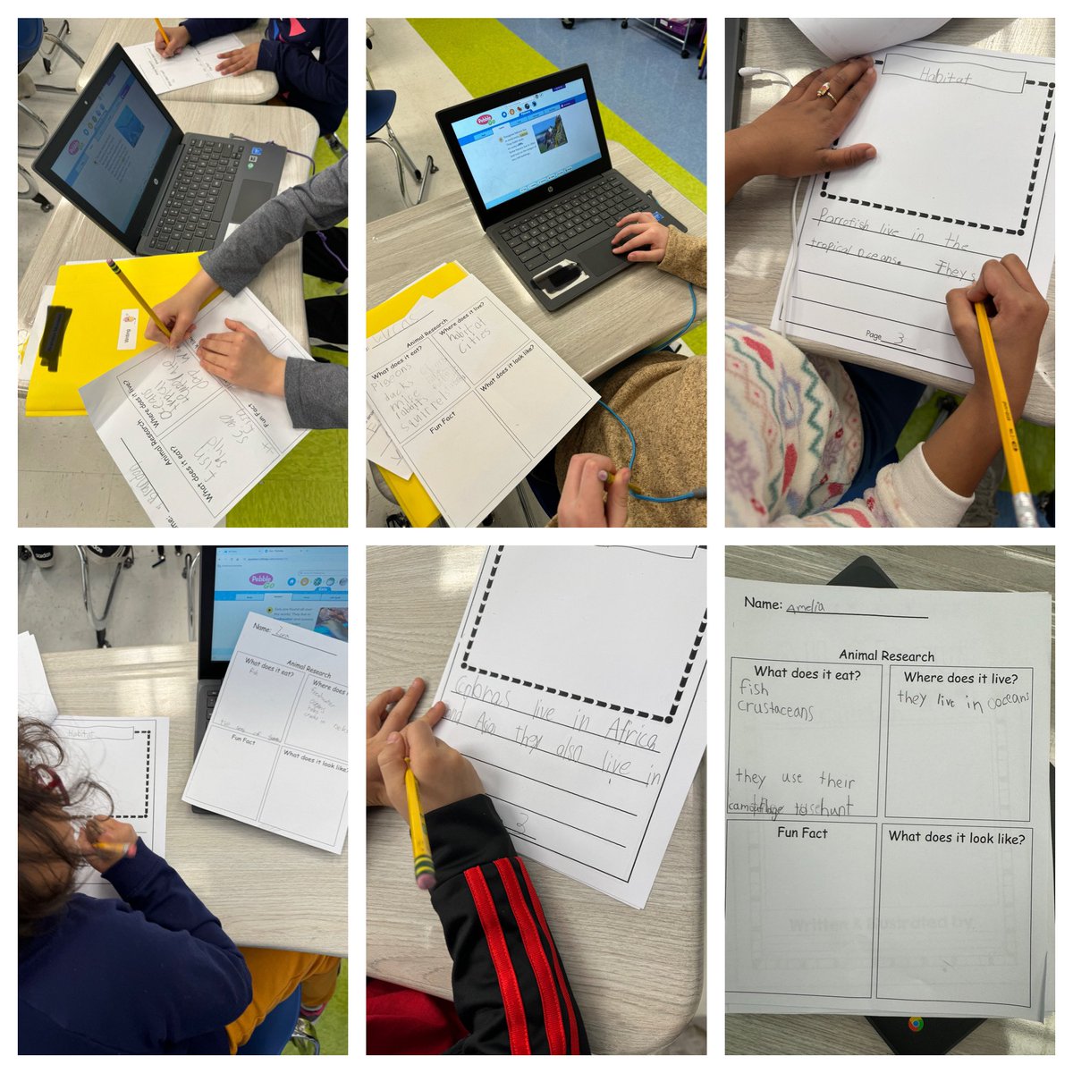 Denise Bigora tweet media