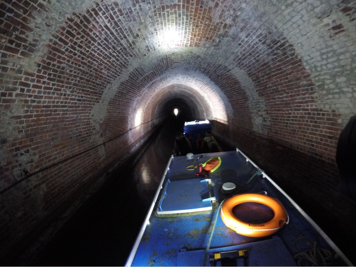 Dave Newman tweet media