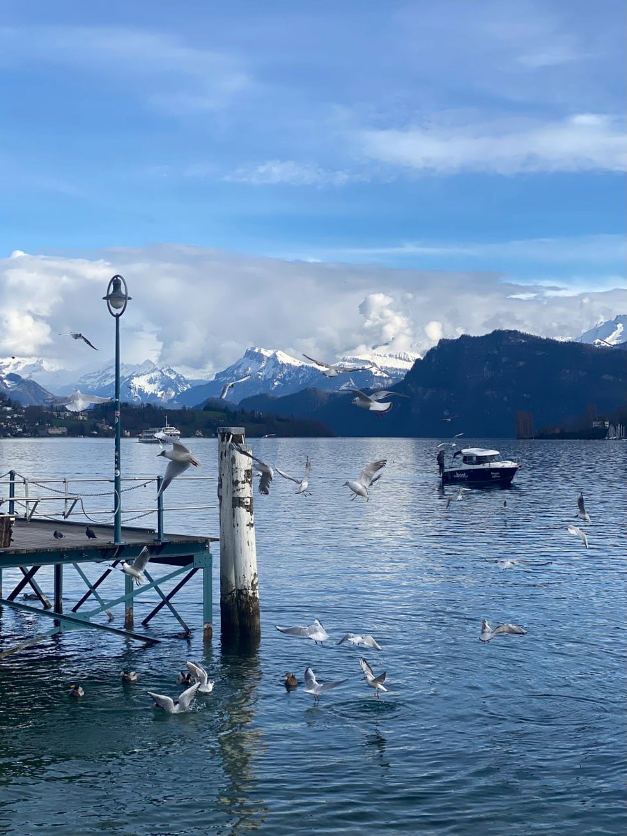 PLLAddictsBRd's tweet image. The snow-capped mountains are wrapped in clouds and mist, just like a fairyland in a dream