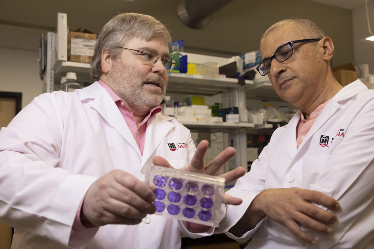 Mark Tompkins, Ph.D., has been appointed director of the Center for Vaccines and Immunology (CVI) in the College of Veterinary Medicine. To read more about Tompkins and the CVI, visit bit.ly/4a6cCgT @UGA_IDIS @UGAResearch @universityofga