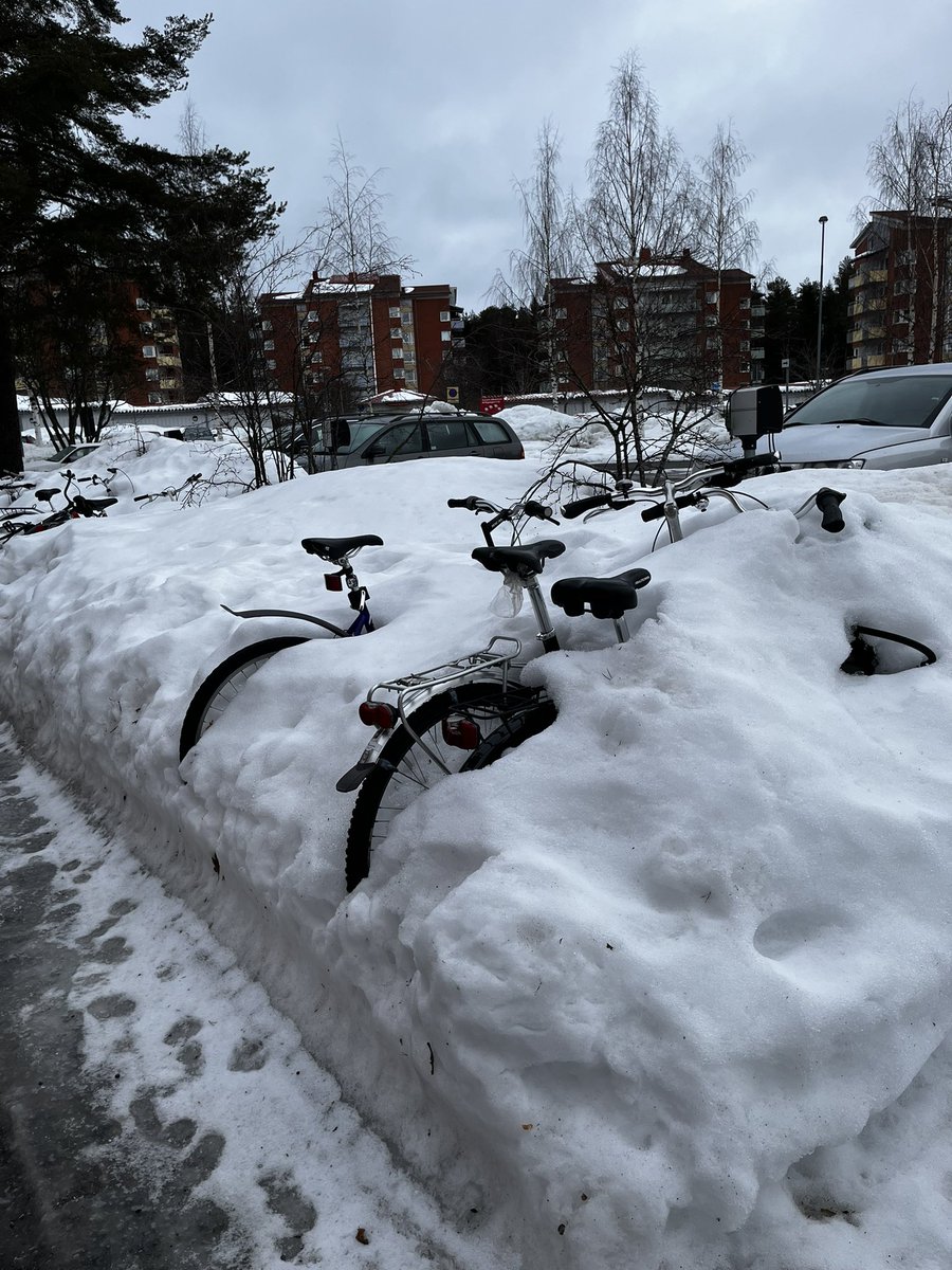 Spring, finally! The bikes are already sprouting.